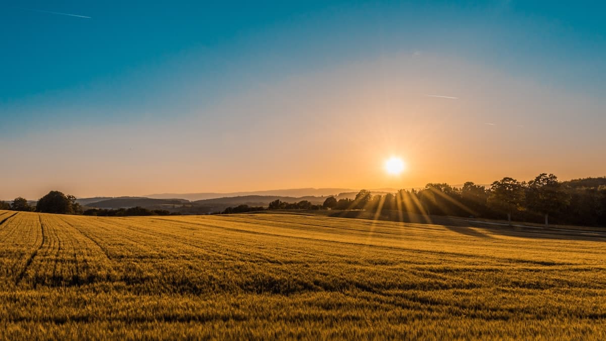 Linha Agro